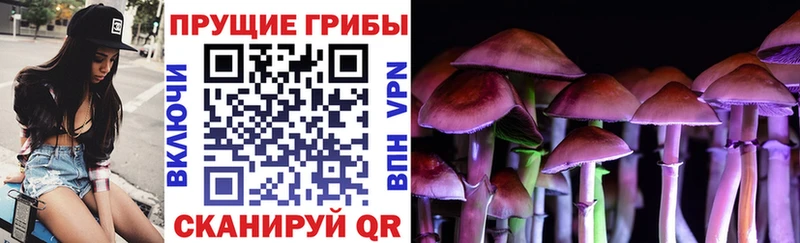 купить  цена  МЕГА рабочий сайт  Псилоцибиновые грибы Psilocybe  Дзержинский 