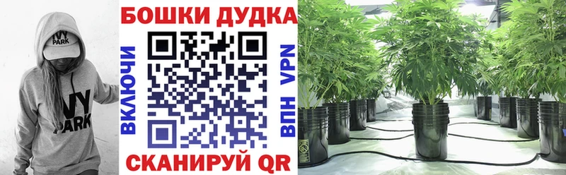 наркотики  hydra ТОР  Шишки марихуана Bruce Banner  Дзержинский 
